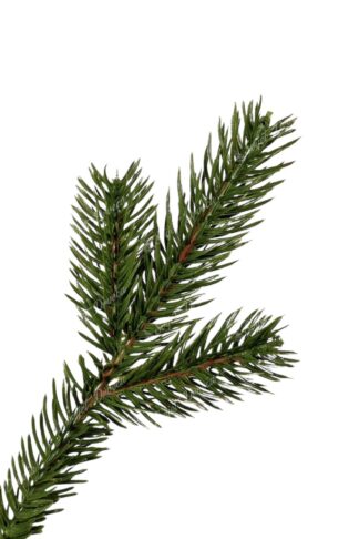 Umjetno božićno drvce 3D Mini Jela