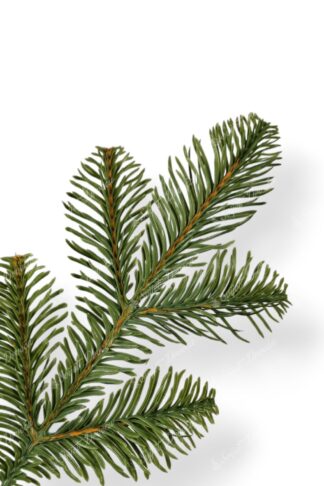 Umjetno božićno drvce 3D Kavkaska Jela-detalj