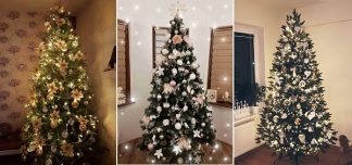 Ukrašena božićna drvca