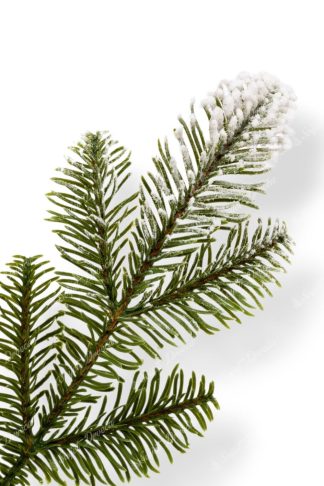 Umjetno božićno drvce 3D Snježna Jela u saksiji-detalj