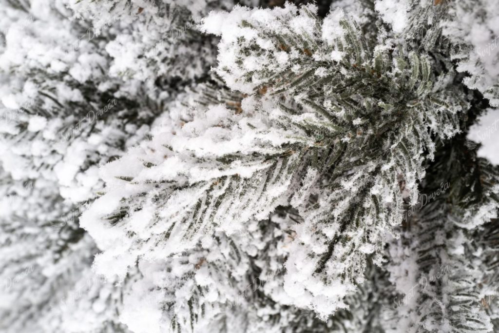 Umjetno Božićno drvce 3D Kraljevska Smreka u saksiji