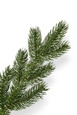 Umjetno božićno drvce 3D Ekskluzivna Smreka-detalj