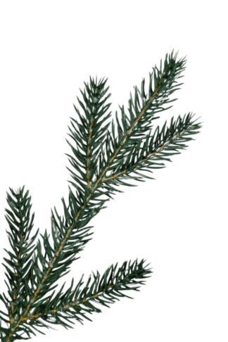 Umjetno božićno drvce 3D Planinska Smreka LED