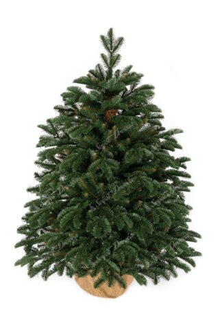 Božićno drvce u saksiji 3D Šarmantna Jela