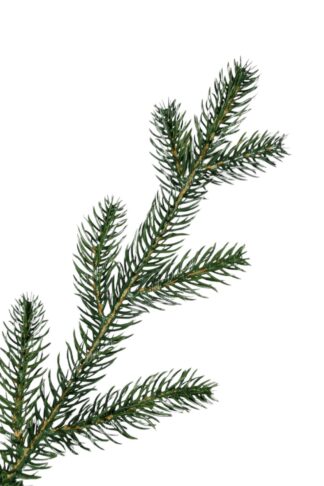 Umjetno božićno drvce FULL 3D Prirodna Smreka