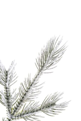 Umjetno božićno drvce 3D Aljaska Smreka u saksiji