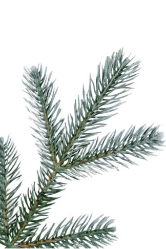 Umjetno božićno drvce 3D Srebrna Smreka