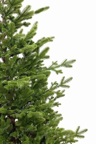 Umjetno božićno drvce FULL 3D Švicarska Smreka