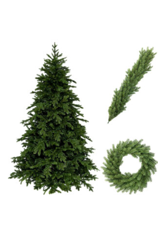 Kolekcia 3D Smrek Exkluzívny